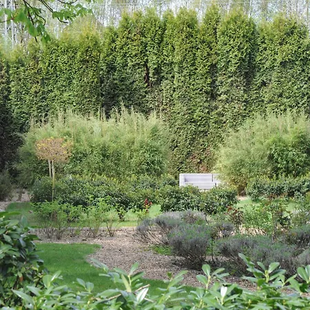 Luxurioese In שוורטה